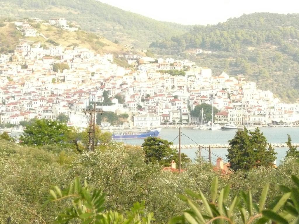 Filoxenia Apartment Skopelos Town Ngoại thất bức ảnh